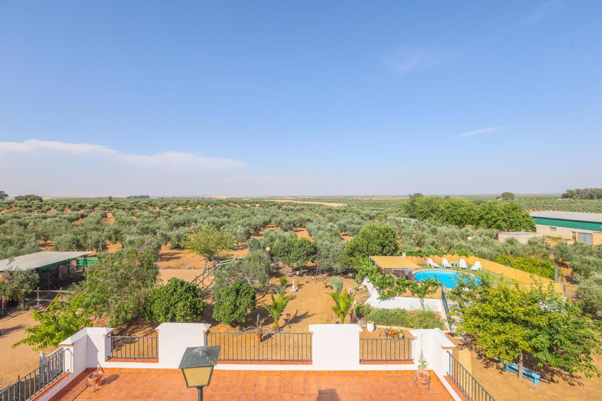 Casa Rural Los Miradores Marchena  Exterior photo
