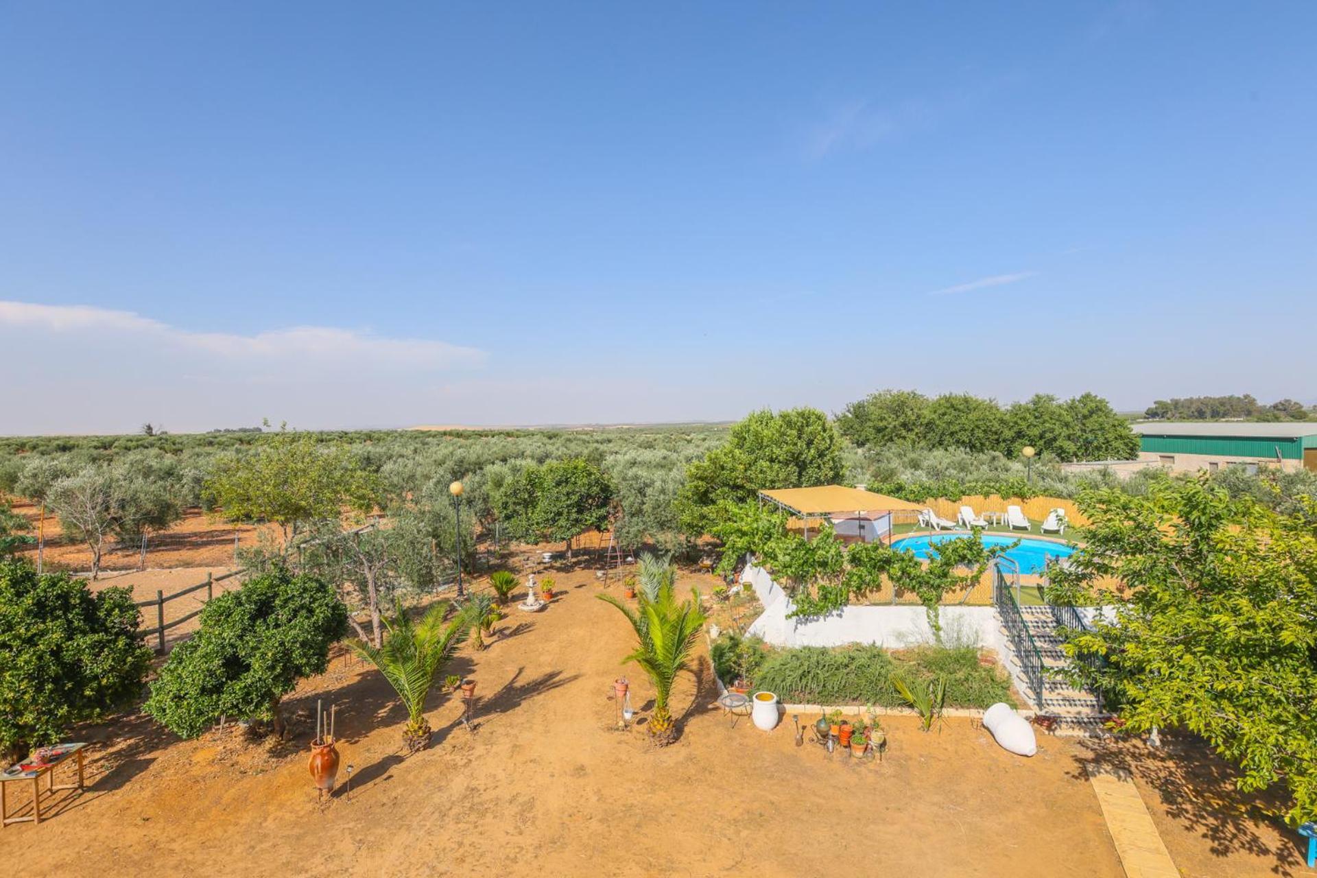 Casa Rural Los Miradores Marchena  Exterior photo