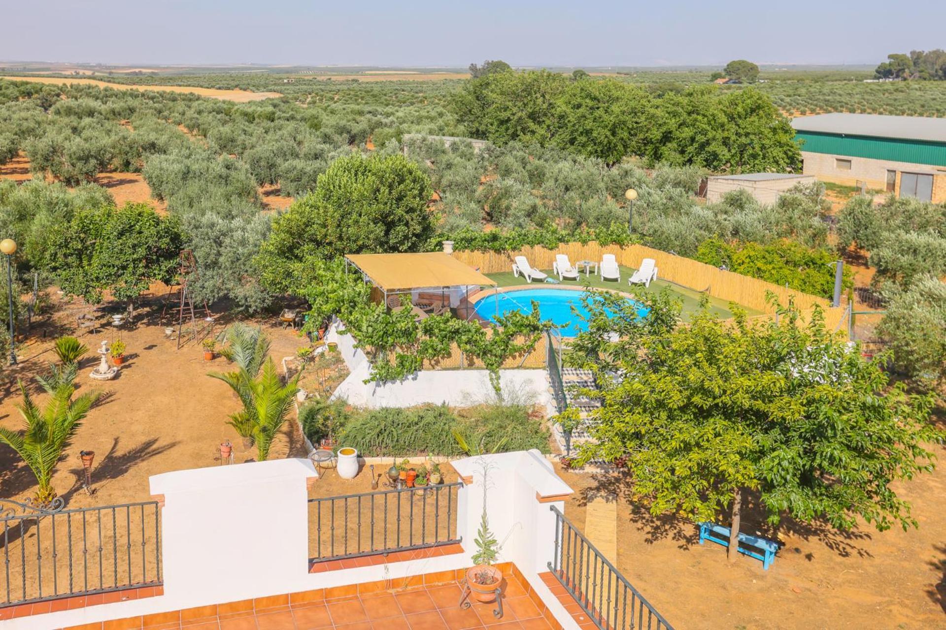 Casa Rural Los Miradores Marchena  Exterior photo